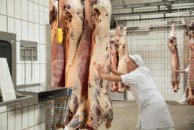 Warum Fülscher Fleisch - Fülscher Fleisch GmbH & Co. KG